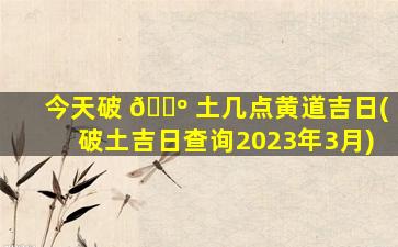 今天破 🐺 土几点黄道吉日(破土吉日查询2023年3月)